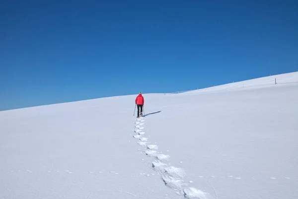 Женщина Снегоступах Альпах — стоковое фото