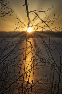 Çimen çiçekler güzel bir gün batımı karşı silüeti
