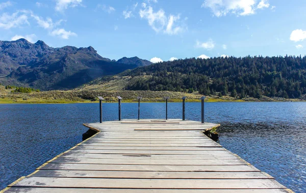 Göller ve ağaçları ile rahat ve huzurlu dağ manzarası