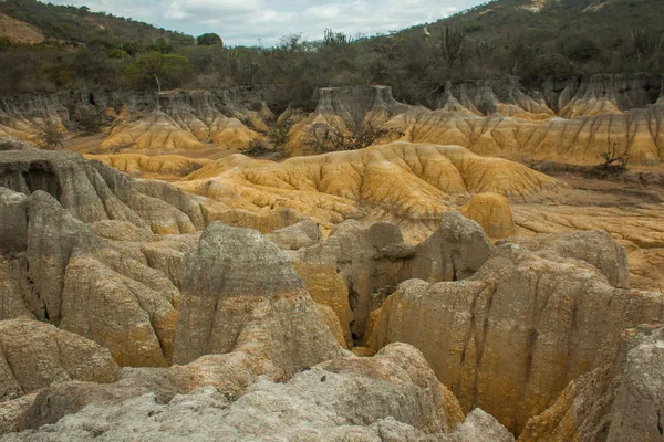 Kurak çöl jeolojik oluşum ve catus ile. Yay çöl, ülke Venezuela.
