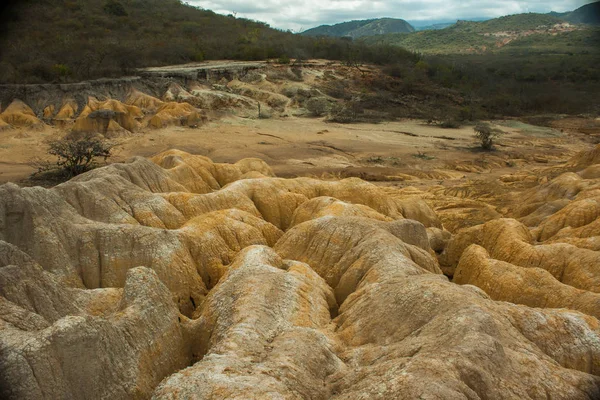 Kurak çöl jeolojik oluşum ve catus ile. Yay çöl, ülke Venezuela.