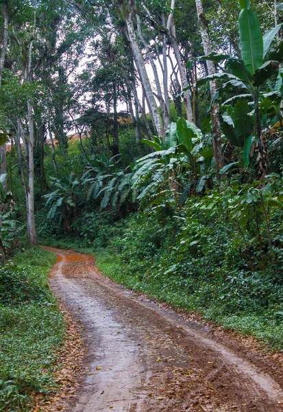Park ve ağaçlar göl ile kareler ve yolları Cascade ve taş büyük ve erotion. ekolojik peyzaj
