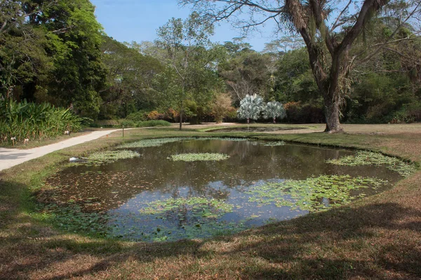 Park ve ağaçlar göl ile kareler ve yolları Cascade ve taş büyük ve erotion. ekolojik peyzaj