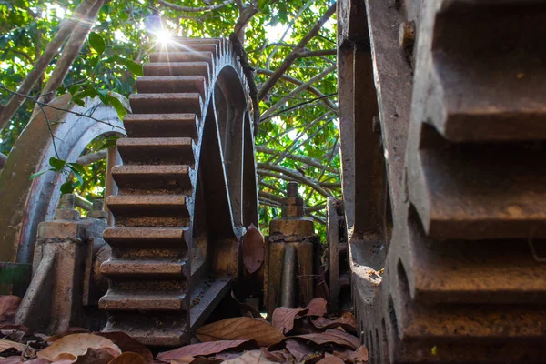 Gears'ı ya da paslı metal sol kullanılmayan, eski şeker kamışı freze dişliler