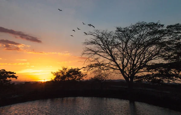 Göl günbatımı üzerinden renkli alacakaranlık