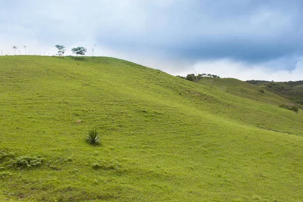 Duvar kağıdı tohumu için tepe ve yeşil çim