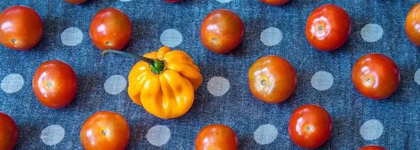 dokuma bambu doku mutfak malzemeleri 