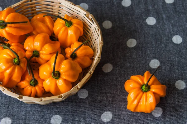 dokuma bambu doku mutfak malzemeleri 