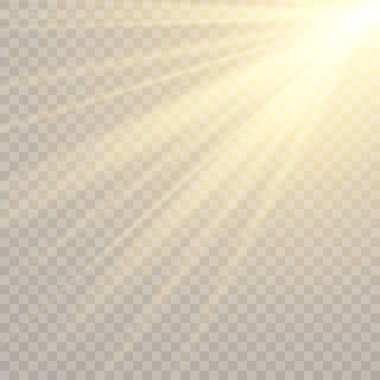 Vektör şeffaf güneş ışığı özel lens flaş efekti. Ön güneş merceği flaşı. Işık altında vektör bulanıklığı. Dekor elementi. Yatay yıldız ışınları ve projektör ışığı.