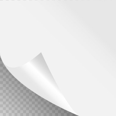 Saydam arka planda gölgesi olan kıvrık sayfa köşesi. Boş bir kağıt parçası. Vektör illüstrasyonu.