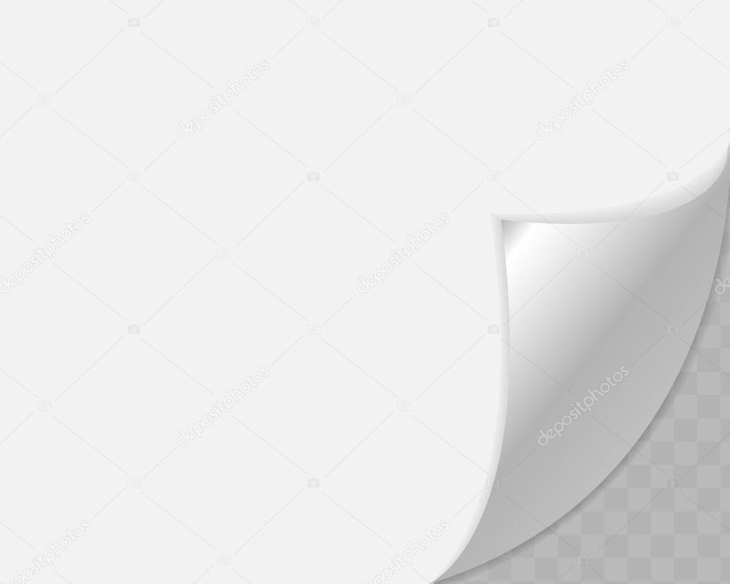 Curled corner of paper on transparent background with soft shadows, realistic paper page mock up.