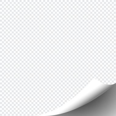 Şeffaf arkaplan üzerine kıvrımlı kağıt köşesi yumuşak gölgeli, gerçekçi kağıt sayfa maketi.