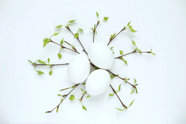 Glückliche Ostereier und Zweig weißer Hintergrund — Stockfoto