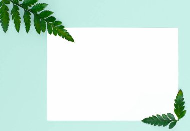 metin ve eğreltiotu yaprakları, üstten görünüm, metin, kopya alanı için yer için beyaz kağıt levha ile turkuaz arka plan üzerinde Flatley,
