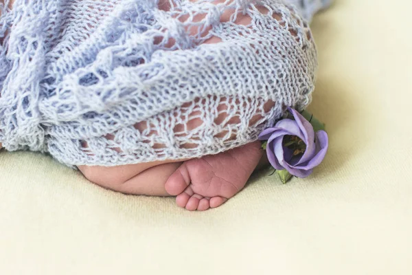 Voeten van een pasgeboren baby, tenen in de handen van mama en papa, handen en nagels van een kind, de eerste dagen van het leven na de geboorte, Lila achtergrond, paarse bloem — Stockfoto