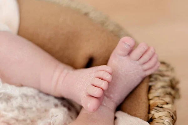 Ноги новорожденного ребенка, пальцы и ногти ребенка, первые дни рождения, чешуйчатая кожа . — стоковое фото