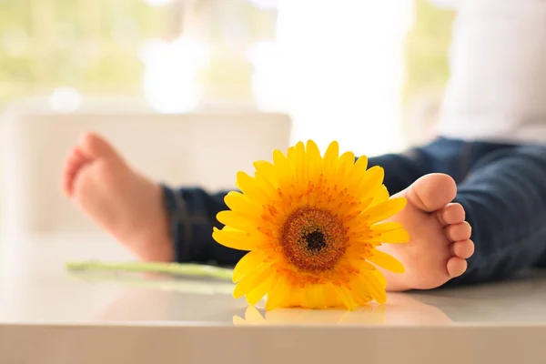 Pés de bebê em jeans ao lado de uma flor de gerbera amarela — Fotografia de Stock