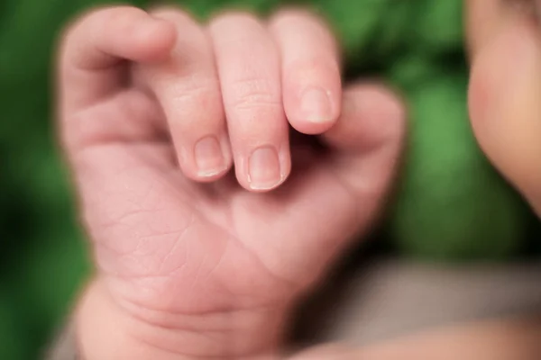 Manos Del Bebé Recién Nacido Dedos Cuidado Materno Amor Abrazos — Foto de Stock