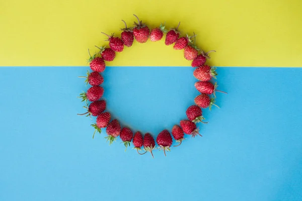 circle of red wild strawberry berries on a yellow and blu background. copy space. space for text