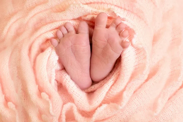 Picioarele fetiței nou-născute cu flori roz, degete pe picior, îngrijire maternă, dragoste și îmbrățișări de familie, tandrețe . — Fotografie, imagine de stoc