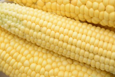 ham mısır böbrekler koyu ahşap arka plan üzerinde yalan