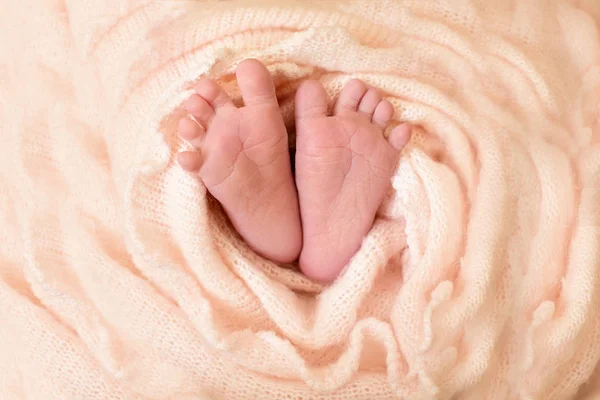 Pembe çiçekler, ayak parmakları ile yeni doğan kız bebek ayaklar, anne bakımı, sevgi ve aile kucaklama, hassasiyet. — Stok fotoğraf