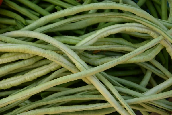 Zelené fazole jsou surové, sklízené dřevěným pozadím. luštěniny, vegetariánství a zahradování — Stock fotografie