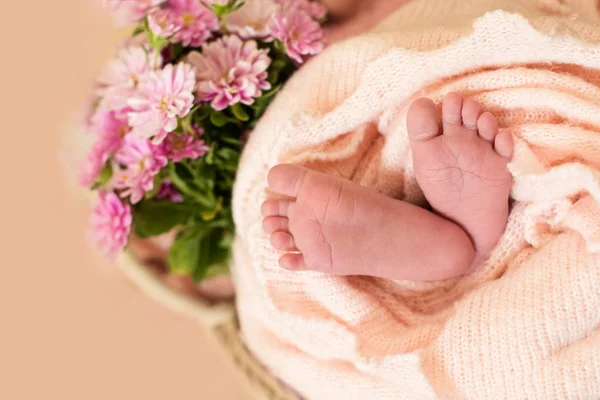 Nohy novorozence s růžovými květy, prsty na noze, mateřská péče, láska a rodinné objetí, něžnost. — Stock fotografie