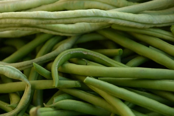 Green beans is raw, harvested on wooden background. legumes, vegetarianism and gardening — Stock Photo, Image