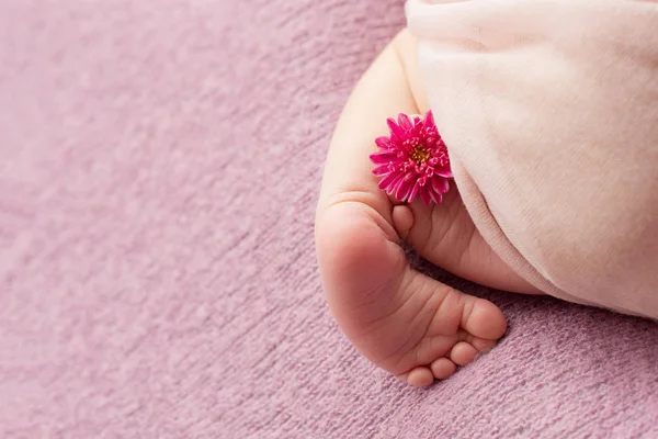 Füße des Neugeborenen mit Blüte, Finger am Fuß, mütterliche Pflege, Liebe und Umarmungen in der Familie, Zärtlichkeit — Stockfoto