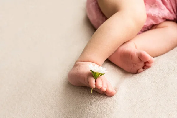 Pies del bebé recién nacido con flor, dedos en el pie, cuidado materno, amor y abrazos familiares, ternura — Foto de Stock