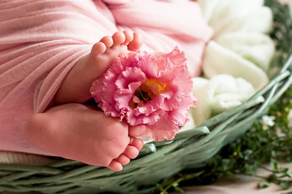 Pés do bebê recém-nascido com flor, dedos no pé, cuidados maternos, amor e abraços familiares, ternura — Fotografia de Stock