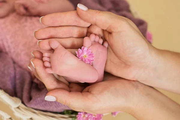 Voeten van de pasgeboren baby meisje met roze bloemen, vingers op de voet, de zorg van de moeder, liefde en familie knuffels, tederheid. — Stockfoto
