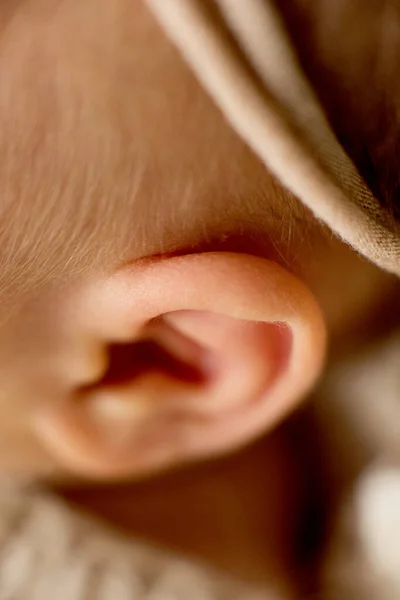 Oído del bebé recién nacido con flor, dedos en el pie, cuidado materno, amor y abrazos familiares, ternura —  Fotos de Stock