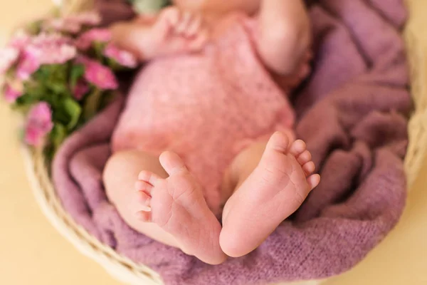 Voeten van de pasgeboren baby meisje met roze bloemen, vingers op de voet, de zorg van de moeder, liefde en familie knuffels, tederheid. — Stockfoto