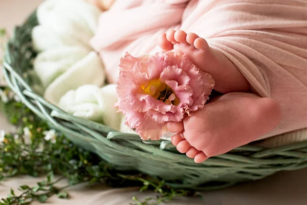 Piedi del neonato con fiore, dita sul piede, cura materna, amore e abbracci familiari, tenerezza — Foto Stock