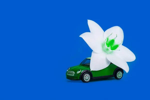 Orenburg, Russie, février 2020 : une voiture miniature livre une fleur blanche sur fond blu. concept de livraison de fleurs. Journée internationale de la femme 8 mars, Saint Valentin. — Photo