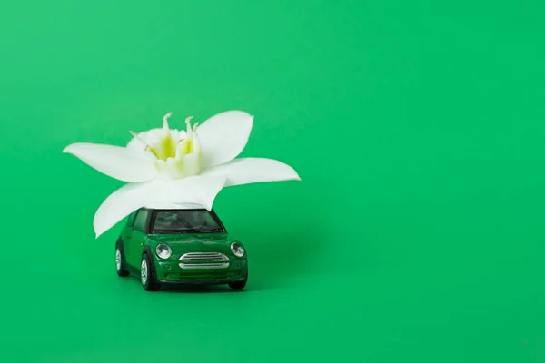 Jouet Voiture Livre Une Fleur Blanche Sur Fond Vert Concept — Photo
