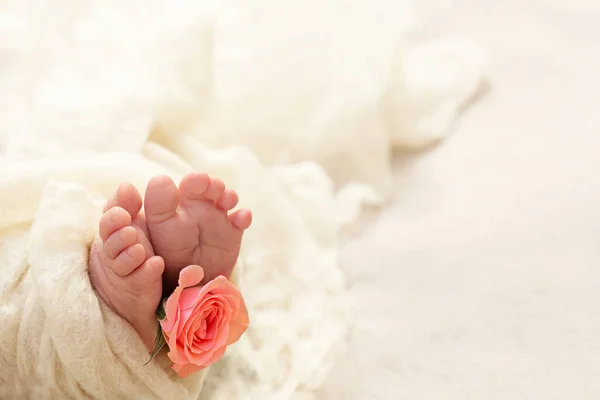 Fötter Ett Nyfött Barn Nyfödd Flicka Fingrarna Ett Litet Barn — Stockfoto