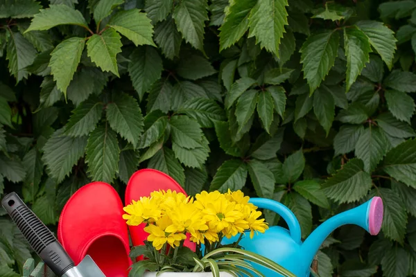 Gardening Work Garden Tools Watering Can Flower Pot Background Green — Stock Photo, Image