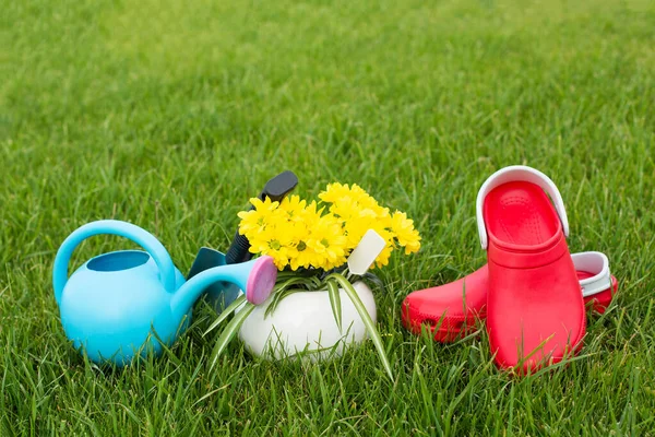 Gardening. work in the garden. tools, watering can and flower in a pot on a background of green leaves. Copy space. Dark wooden background. Rough boards