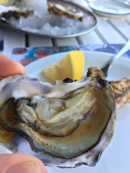 Buzlu Taze Istiridye Kabuğu Restorandaki Deniz Ürünleri Çiğ Yemek — Stok fotoğraf