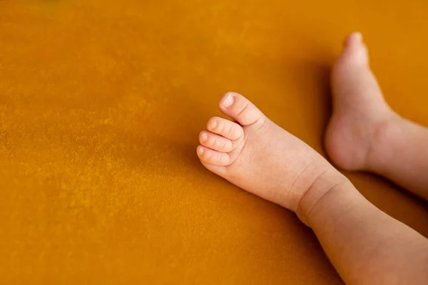 Pieds Nouveau Nés Maternité Concept Fête Des Mères Concentration Sélective — Photo