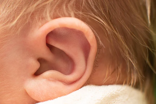 Körperhaare eines neugeborenen Babys. Flauschig. Ohr aus nächster Nähe. — Stockfoto