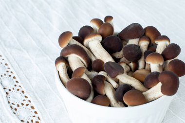 Mantarlar, bal mantarları bir tabakta, yağmalama üzerine. Uzayı kopyala keten masa örtüsü, köy tarzı. 