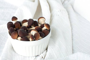 Mantarlar, bal mantarları bir tabakta, yağmalama üzerine. Boşluğu kopyala