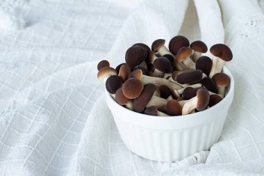 Mantarlar, bal mantarları bir tabakta, yağmalama üzerine. Boşluğu kopyala