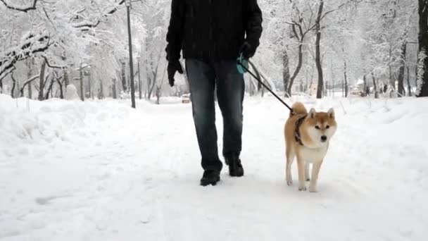 Ένας άντρας περπατάει με ένα αστείο σκυλί σε ένα χιονισμένο πάρκο. Ο σκύλος χαμογελά, γλείφει, περπατάει αστεία — Αρχείο Βίντεο