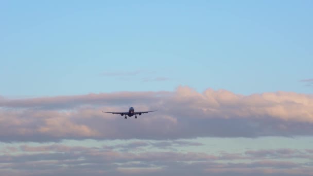 El avión despega, aterriza. Avión comercial grande vuela sobre el primer plano diurno — Vídeo de stock