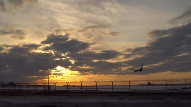 비행기 착륙입니다. 백그라운드에서 석양, 푸른 하늘, 보라색과 오렌지색 구름 — 비디오